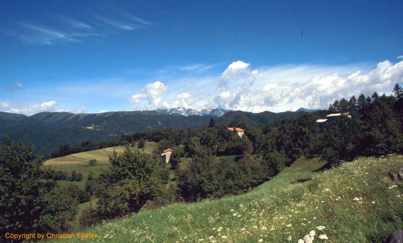 Bild 24.jpg (58525 Byte)