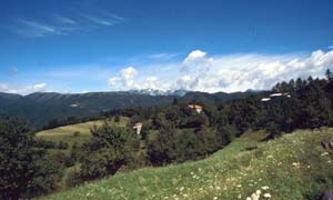 Bild 24